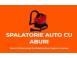 Spalatorie auto cu aburi servicii profesionale de detailing auto spala servicii auto transporturi 737113 poza 2